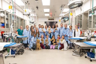 A group photo of students wearing blue and white lab coats holding golden retriever puppies