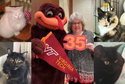 A collage of photos of Deanna McCrudden and her cats