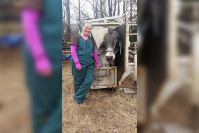 Veterinarian standing with a cow.