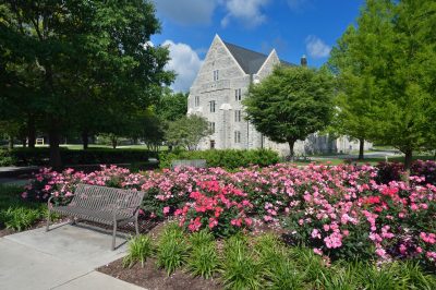 flowers bloom on campus